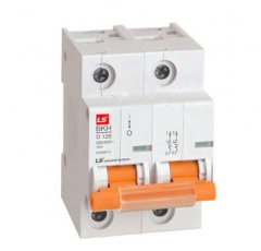 Aptomat LS MCB 2P 80A 10kA- BKH 2P 80A