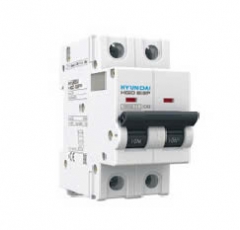 Aptomat Hyundai MCB 2P 100A 10kA- HGD100S 2P 100A
