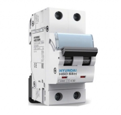 Aptomat Hyundai MCB 2P 63A 10kA- HGD63H 2P 63A