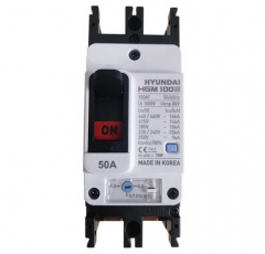 Aptomat Hyundai MCCB 2P 50A 50k- HGM100S 2P 50A