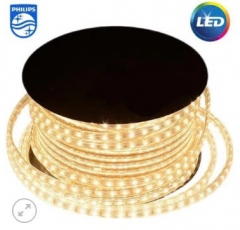 Đèn LED Dây 9W HLS168 GM Philips