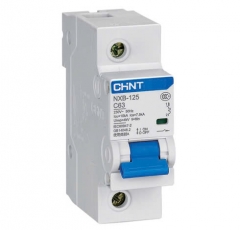 Aptomat Chint MCB 1 pha 125A 10kA- NXB-125 1P C125