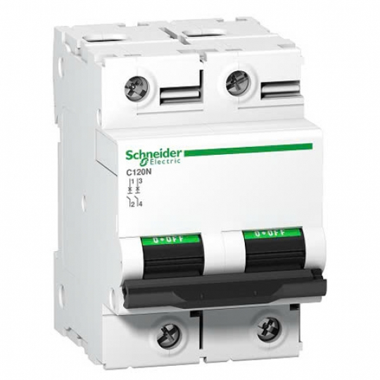 Aptomat Schneider MCB 2P 125A- A9N18363
